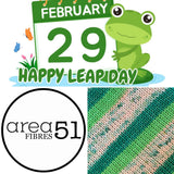 LEAP DAY 2024 | 50g Half Skein | Ready to Ship