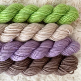 20g SOCK mini skeins