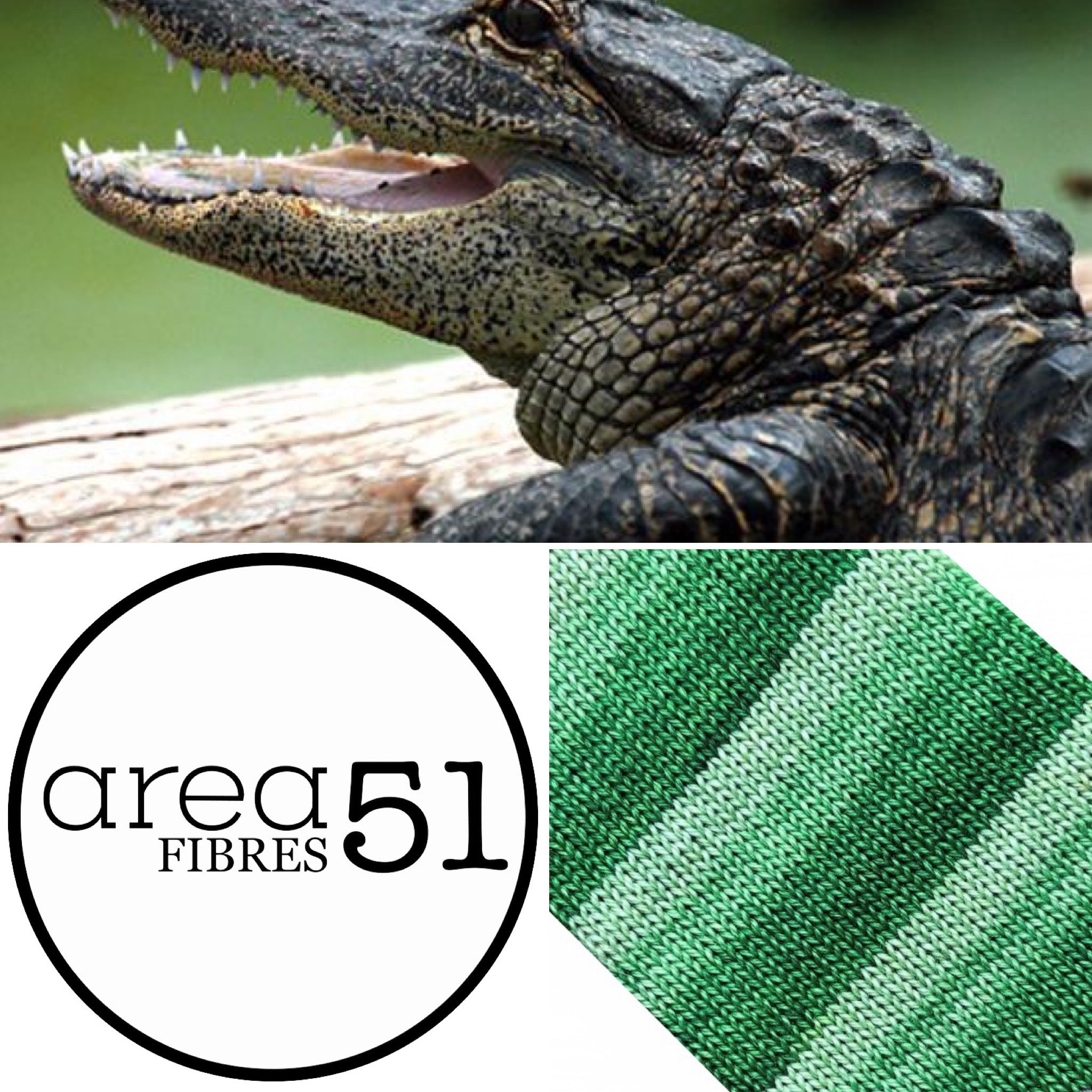 Crocodile Color Code COLOR SWATCH - CROCODILE GREEN – area 51 Fibres