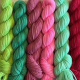 25g SOCK weight MINI SKEINS