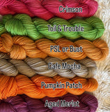 25g SOCK weight MINI SKEINS