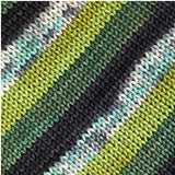 THE TRUTH IS OUT THERE | 50g Half Skein | PRE-ORDER