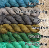 25g SOCK weight MINI SKEINS