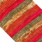 CLOWNS IN A CORNFIELD