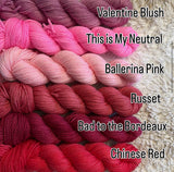 25g SOCK weight MINI SKEINS