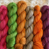 25g SOCK weight MINI SKEINS