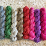 25g SOCK weight MINI SKEINS