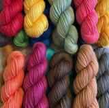 25g SOCK weight MINI SKEINS