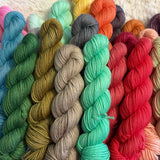 25g SOCK weight MINI SKEINS